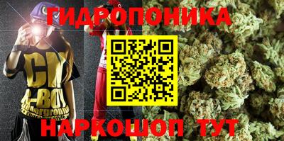 Альфа ПВП Новозыбков